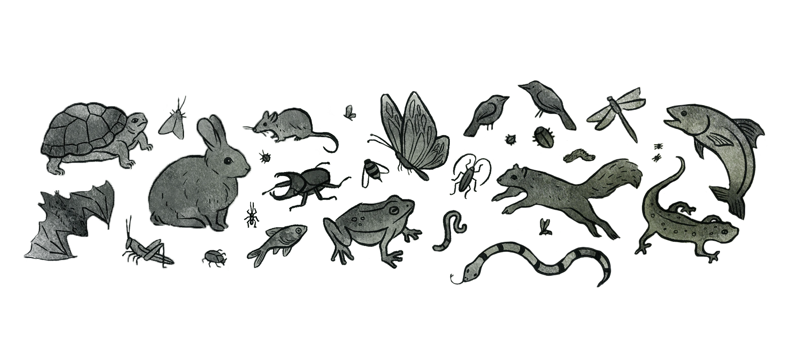 Decorative wildlife illustration